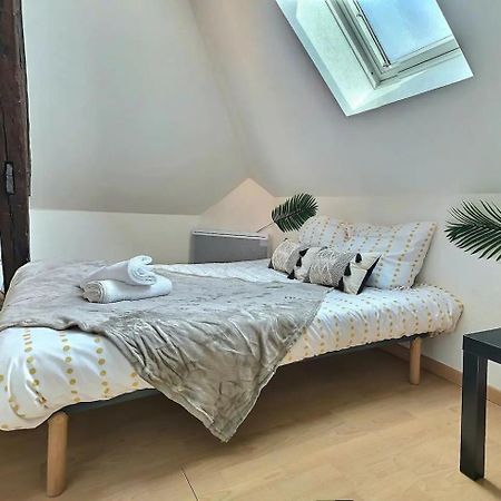 Le Travel - Appartement Equipe Proche Centre Et Yschools 트루아 외부 사진